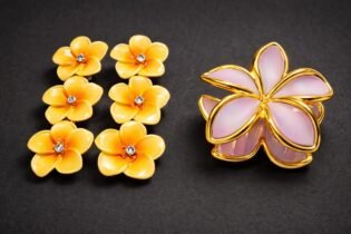 Hair Accessories (clutcher- colour purple, clip- colour Marigold)
